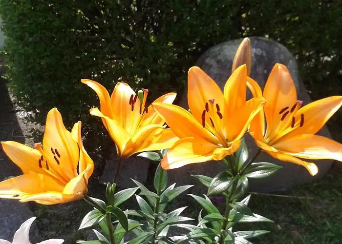 Espace Pyrenees Loisirs Camping 5*